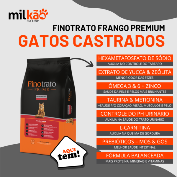 Gato Castrado